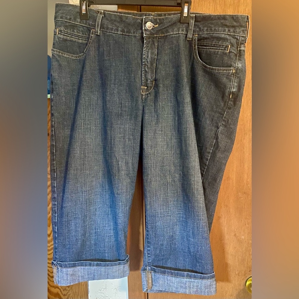Lee Dark Blue Ankle Jeans